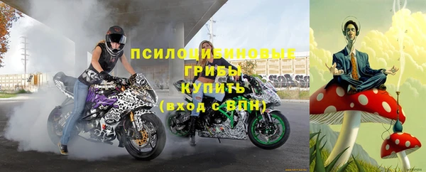 амфетамин Белокуриха