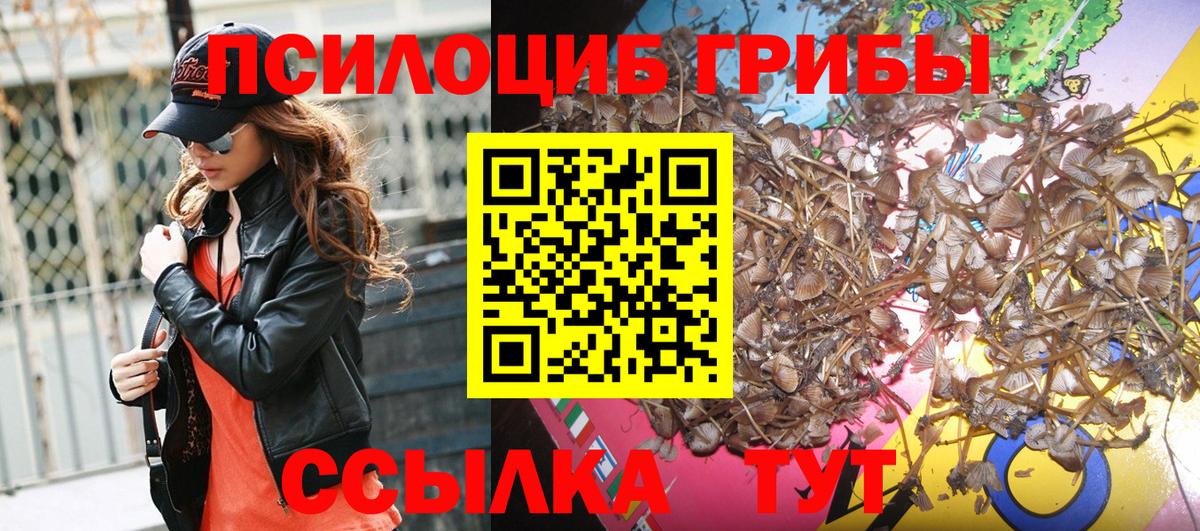 Галлюциногенные грибы ЛСД  Вход с VPN  Армавир  Псилоцибиновые грибы мухоморы 