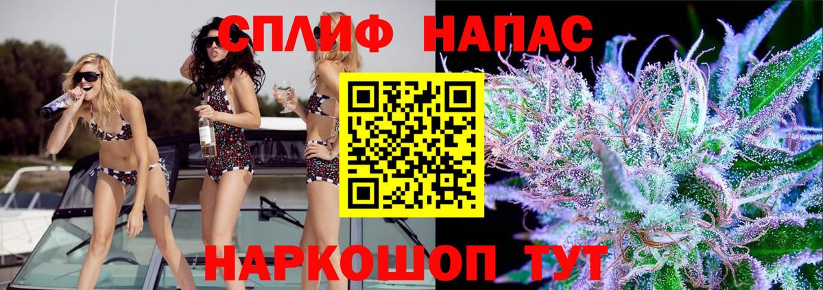 Конопля гибрид Армавир
